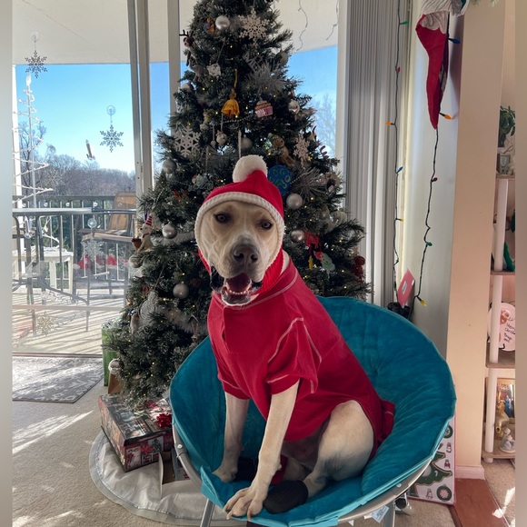 Fab Dog Thermal Pajamas - Picture 4 of 7